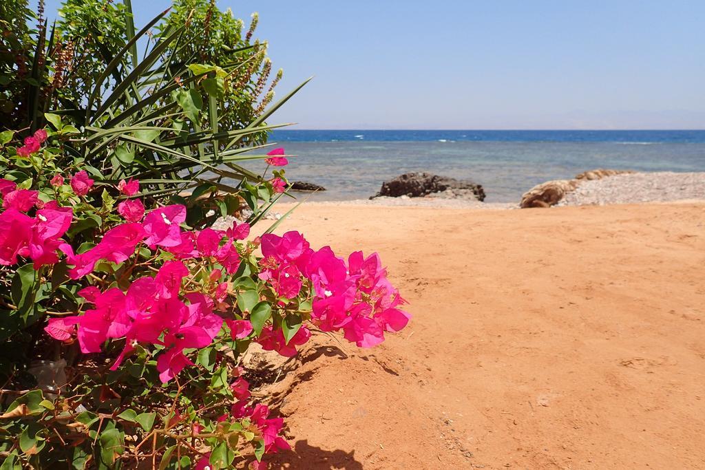Bedouin Star Hotel Taba Ngoại thất bức ảnh