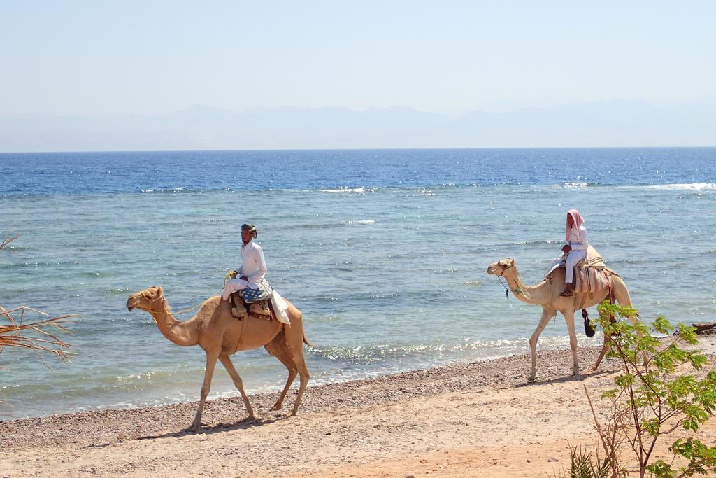 Bedouin Star Hotel Taba Ngoại thất bức ảnh