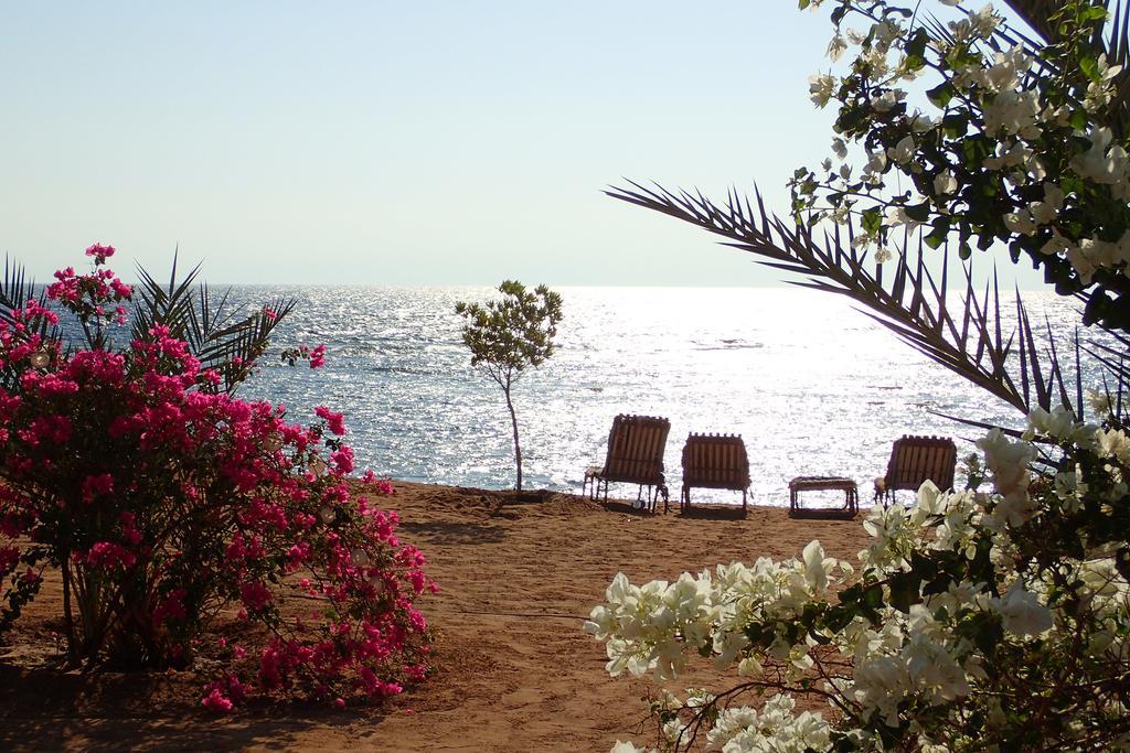 Bedouin Star Hotel Taba Ngoại thất bức ảnh