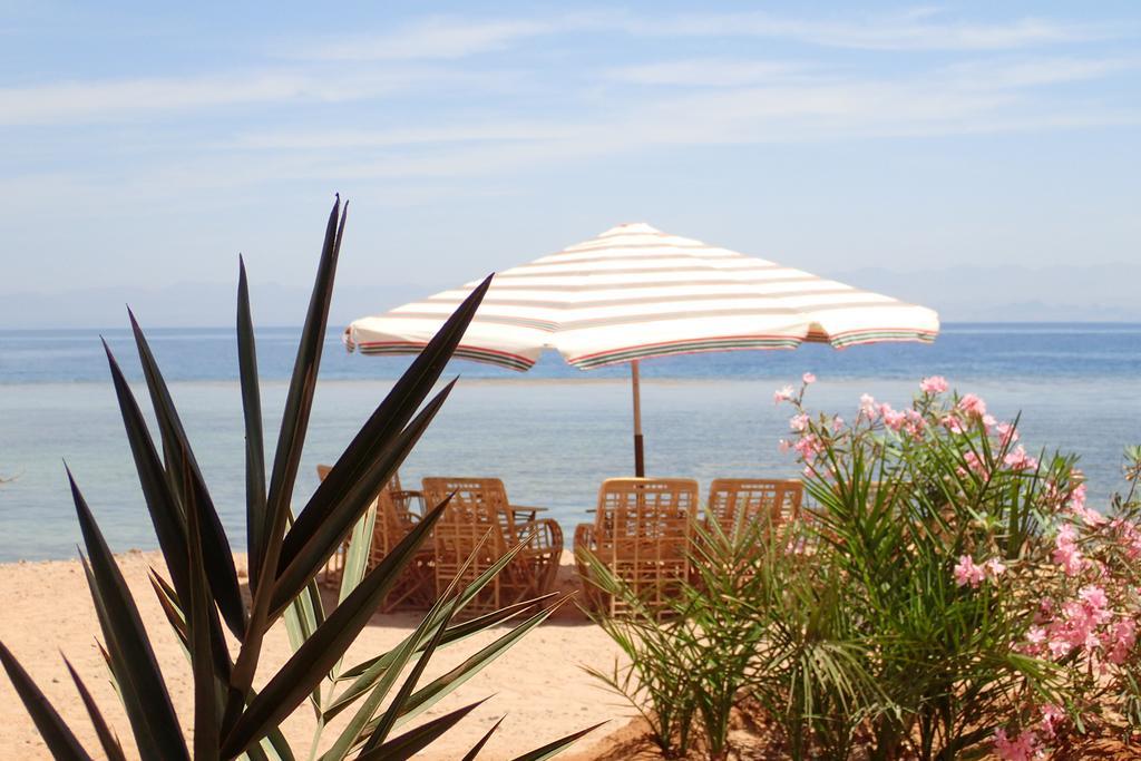 Bedouin Star Hotel Taba Ngoại thất bức ảnh
