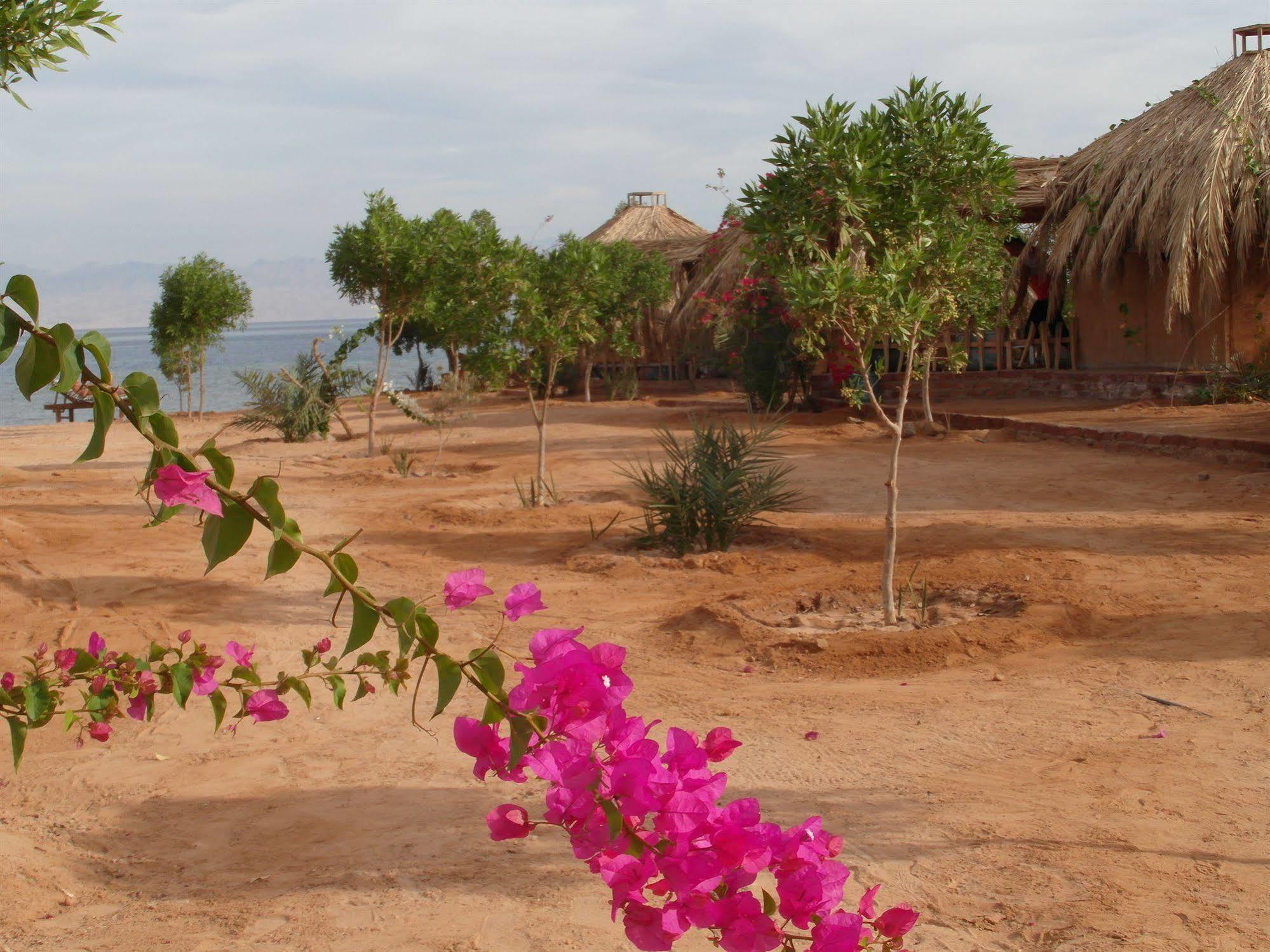 Bedouin Star Hotel Taba Ngoại thất bức ảnh