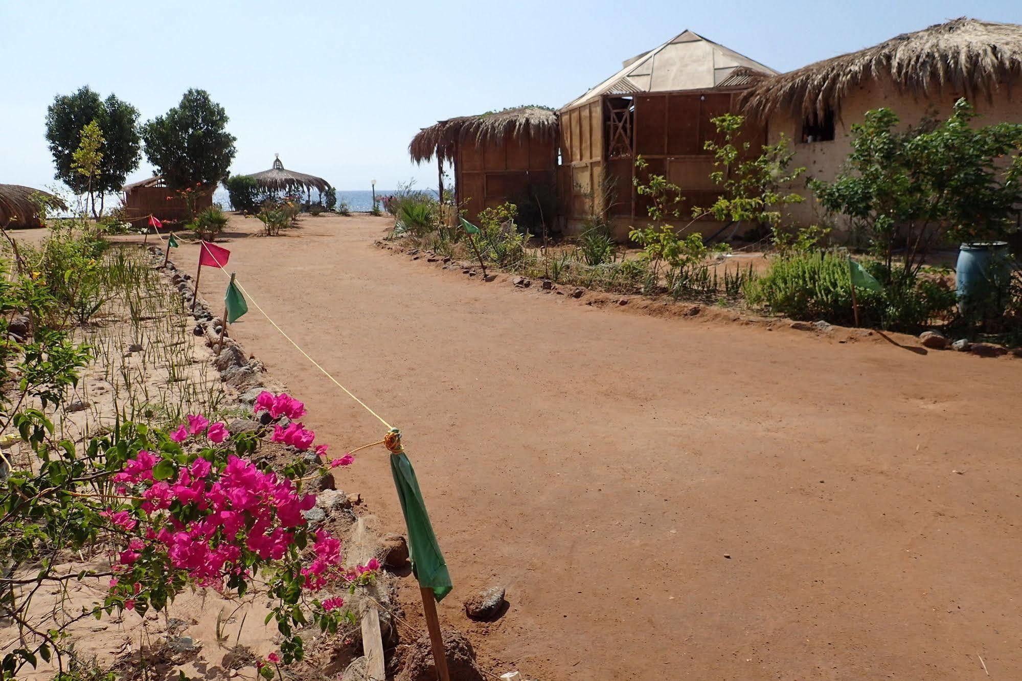 Bedouin Star Hotel Taba Ngoại thất bức ảnh