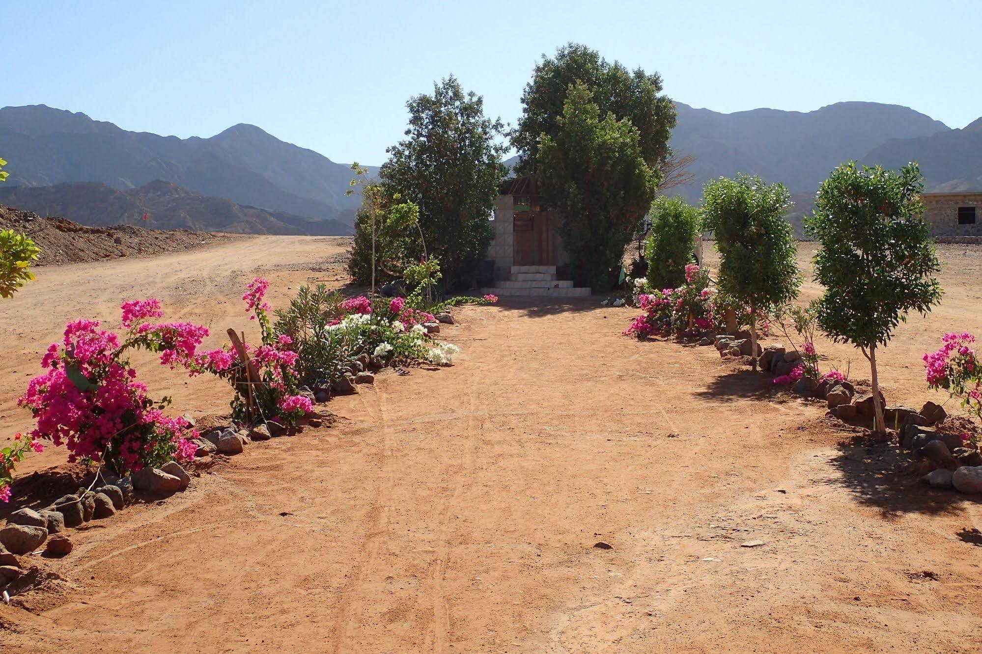 Bedouin Star Hotel Taba Ngoại thất bức ảnh