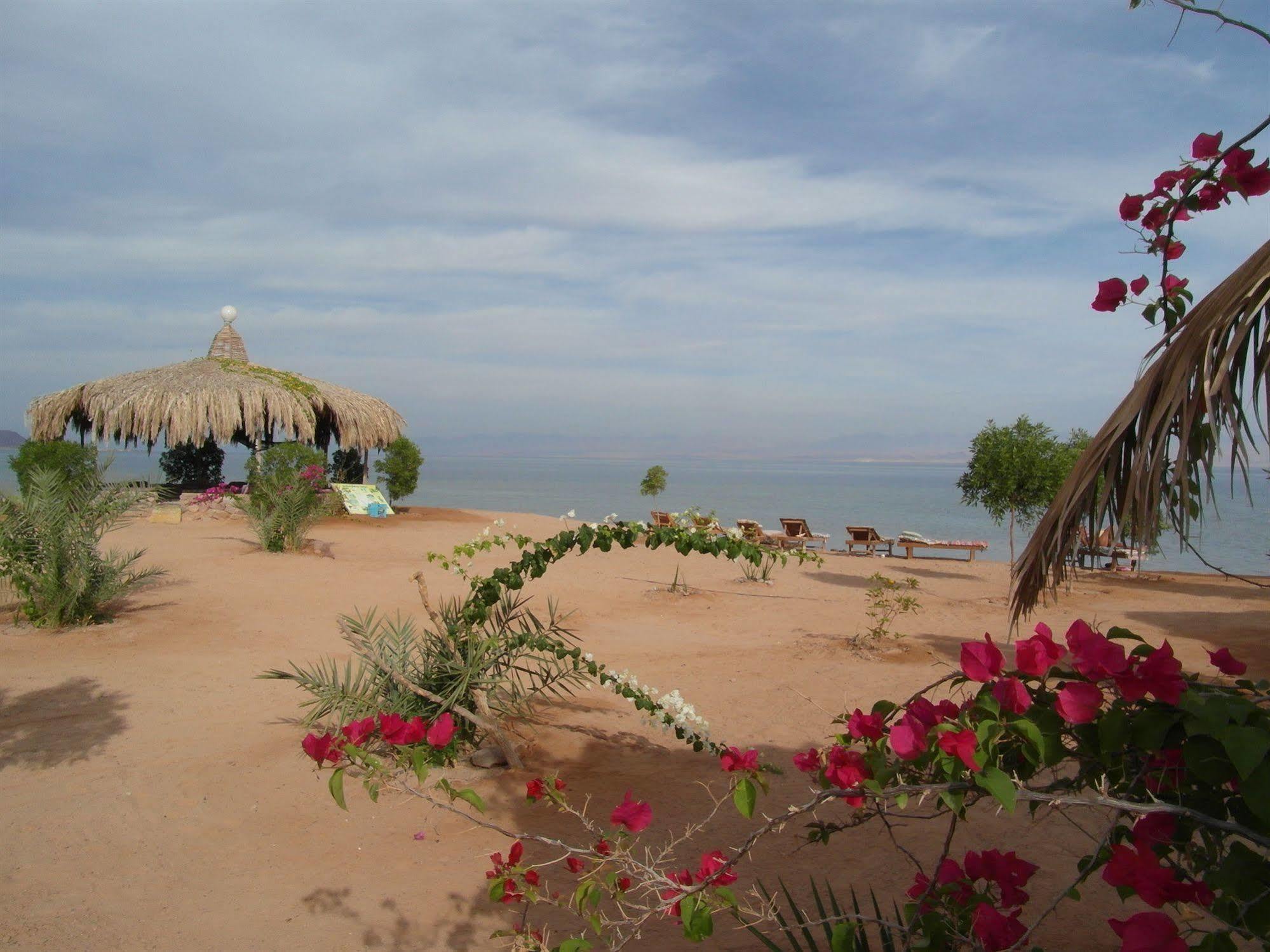 Bedouin Star Hotel Taba Ngoại thất bức ảnh